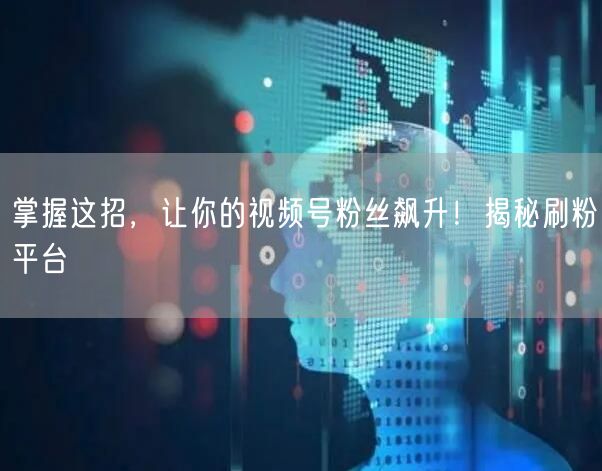 掌握这招，让你的视频号粉丝飙升！揭秘刷粉平台