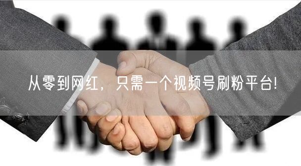从零到网红，只需一个视频号刷粉平台!
