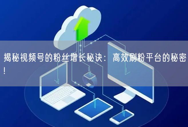 揭秘视频号的粉丝增长秘诀：高效刷粉平台的秘密!