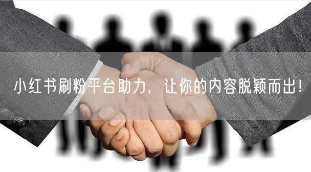 小红书刷粉平台助力，让你的内容脱颖而出！