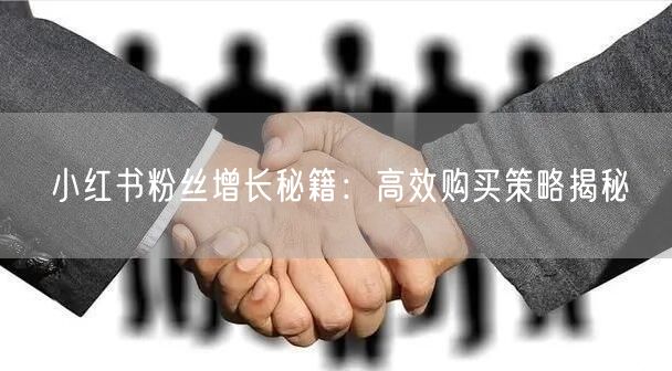 小红书粉丝增长秘籍：高效购买策略揭秘