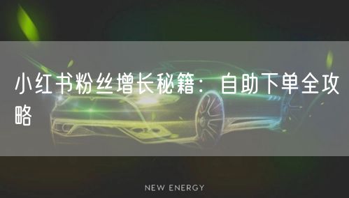 小红书粉丝增长秘籍：自助下单全攻略