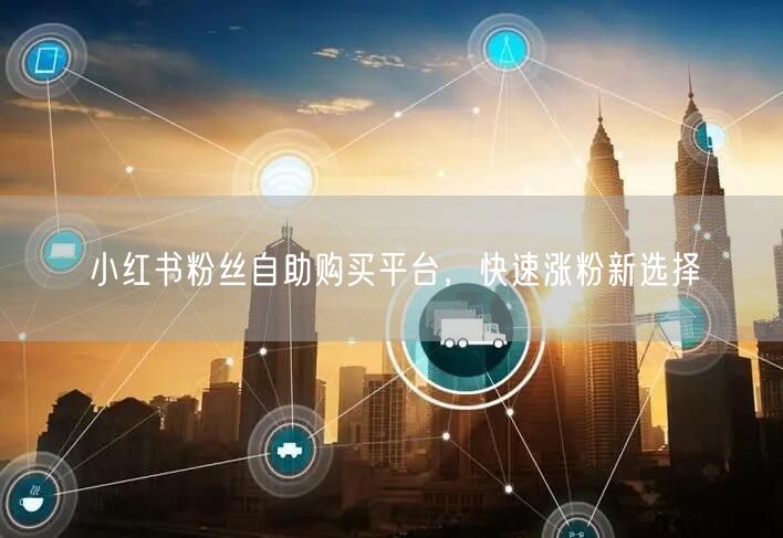 小红书粉丝自助购买平台，快速涨粉新选择