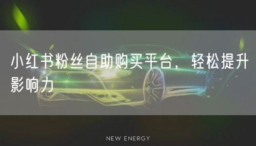 小红书粉丝自助购买平台，轻松提升影响力