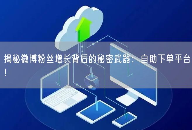 揭秘微博粉丝增长背后的秘密武器：自助下单平台！