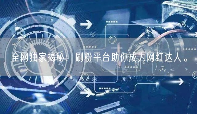 全网独家揭秘：刷粉平台助你成为网红达人。