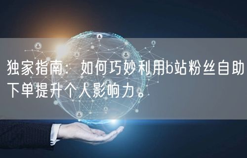 独家指南：如何巧妙利用b站粉丝自助下单提升个人影响力。