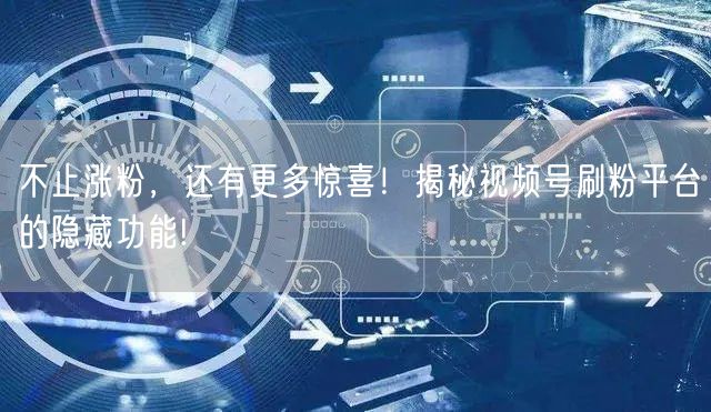 不止涨粉，还有更多惊喜！揭秘视频号刷粉平台的隐藏功能!