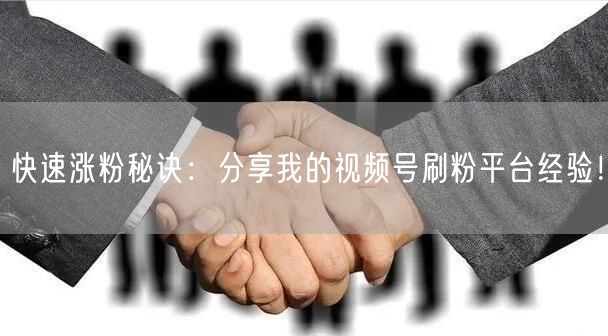 快速涨粉秘诀：分享我的视频号刷粉平台经验！
