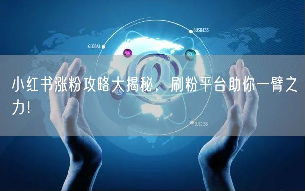 小红书涨粉攻略大揭秘，刷粉平台助你一臂之力！