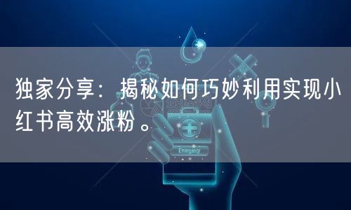 独家分享：揭秘如何巧妙利用实现小红书高效涨粉。