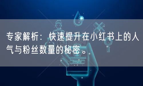 专家解析：快速提升在小红书上的人气与粉丝数量的秘密。