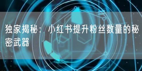 独家揭秘：小红书提升粉丝数量的秘密武器