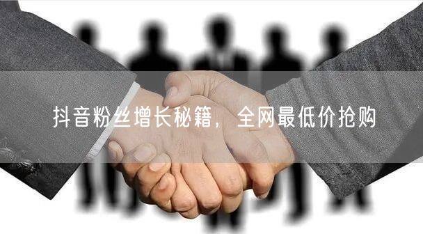 抖音粉丝增长秘籍，全网最低价抢购