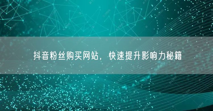 抖音粉丝购买网站，快速提升影响力秘籍