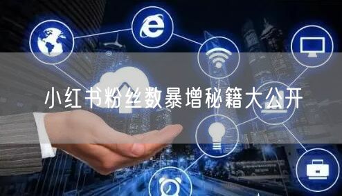 小红书粉丝数暴增秘籍大公开