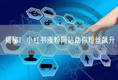 揭秘！小红书涨粉网站助你粉丝飙升