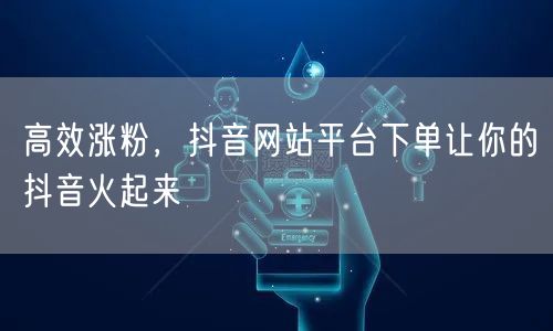 高效涨粉，抖音网站平台下单让你的抖音火起来