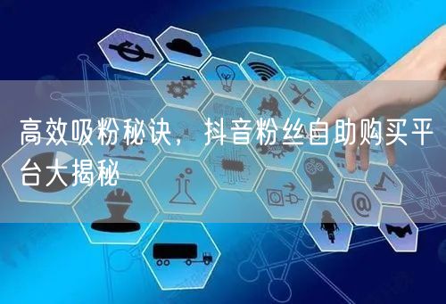 高效吸粉秘诀，抖音粉丝自助购买平台大揭秘