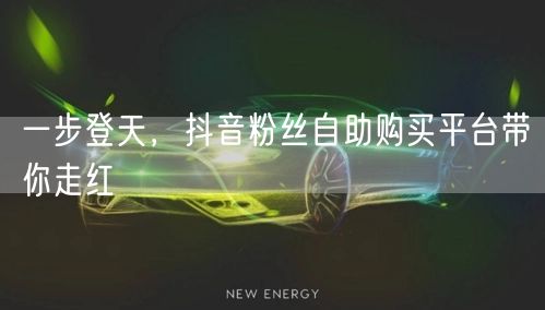 一步登天，抖音粉丝自助购买平台带你走红