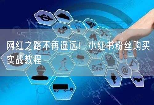 网红之路不再遥远！小红书粉丝购买实战教程