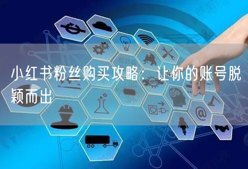 小红书粉丝购买攻略：让你的账号脱颖而出