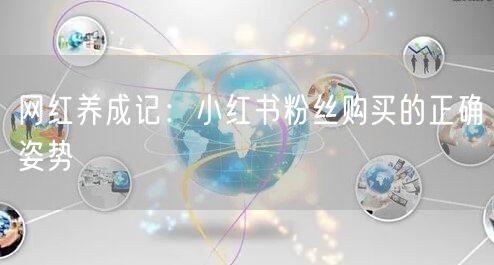 网红养成记：小红书粉丝购买的正确姿势