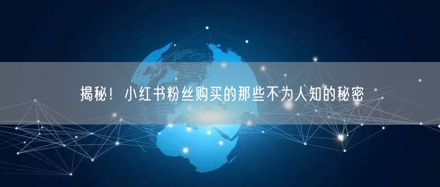 揭秘！小红书粉丝购买的那些不为人知的秘密