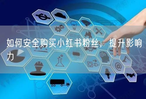 如何安全购买小红书粉丝，提升影响力