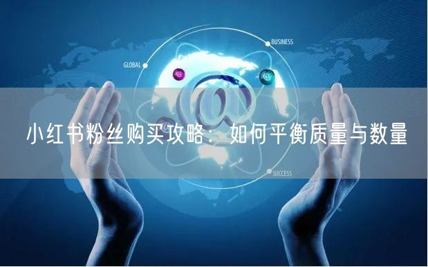 小红书粉丝购买攻略：如何平衡质量与数量