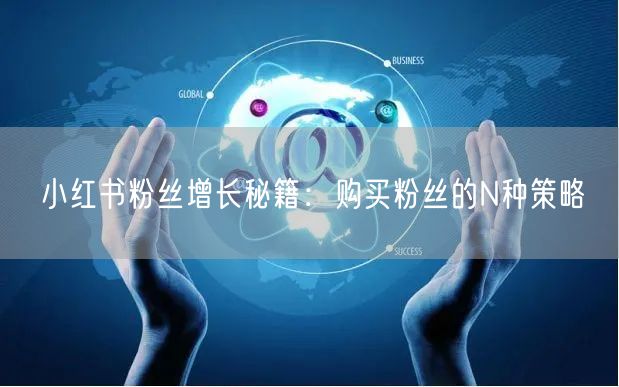 小红书粉丝增长秘籍：购买粉丝的N种策略