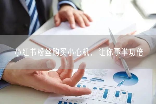 小红书粉丝购买小心机，让你事半功倍