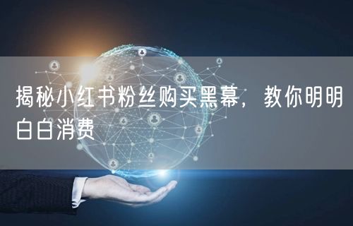 揭秘小红书粉丝购买黑幕，教你明明白白消费