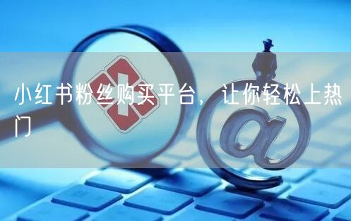 小红书粉丝购买平台，让你轻松上热门