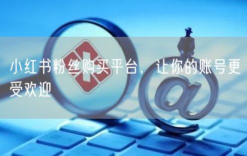 小红书粉丝购买平台，让你的账号更受欢迎