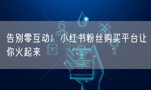告别零互动！小红书粉丝购买平台让你火起来