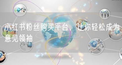小红书粉丝购买平台，让你轻松成为意见领袖