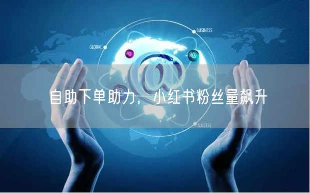 自助下单助力，小红书粉丝量飙升