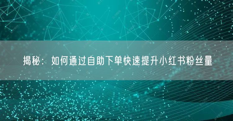 揭秘：如何通过自助下单快速提升小红书粉丝量