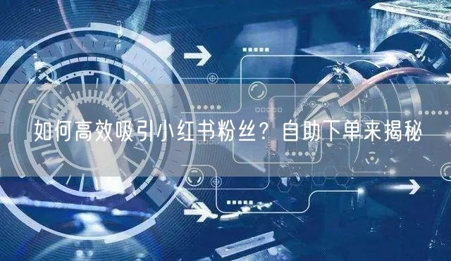 如何高效吸引小红书粉丝？自助下单来揭秘