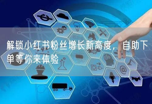 解锁小红书粉丝增长新高度，自助下单等你来体验
