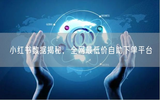小红书数据揭秘，全网最低价自助下单平台