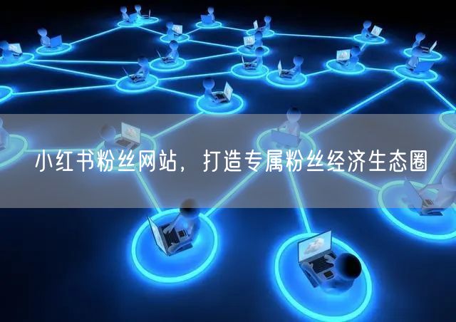小红书粉丝网站，打造专属粉丝经济生态圈