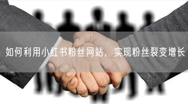 如何利用小红书粉丝网站，实现粉丝裂变增长