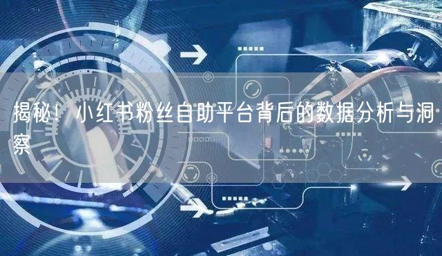 揭秘！小红书粉丝自助平台背后的数据分析与洞察