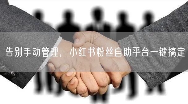 告别手动管理，小红书粉丝自助平台一键搞定