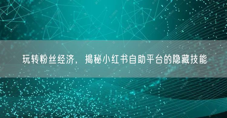 玩转粉丝经济，揭秘小红书自助平台的隐藏技能