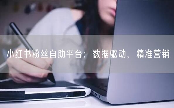 小红书粉丝自助平台：数据驱动，精准营销
