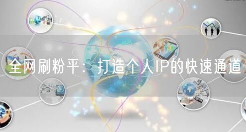 全网刷粉平：打造个人IP的快速通道