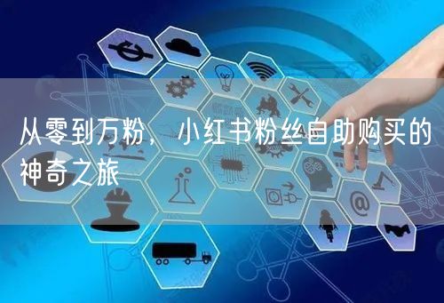从零到万粉，小红书粉丝自助购买的神奇之旅